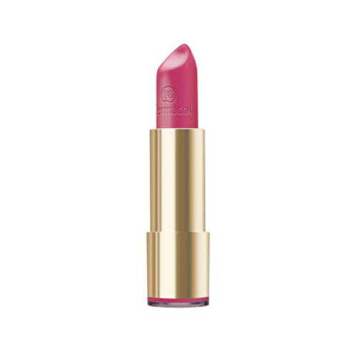 Dermacol Pretty Matte lūpu krāsa (lūpu ērce) 4,5 g (24) Sievietēm