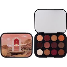 MAC Connect In Color akių šešėlių paletė 12,2 g