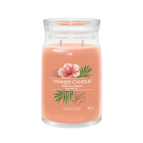 Yankee Candle Tropinio bražo firminė žvakė